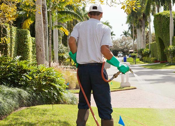 About Ocean Isle Beach NC Pest Control